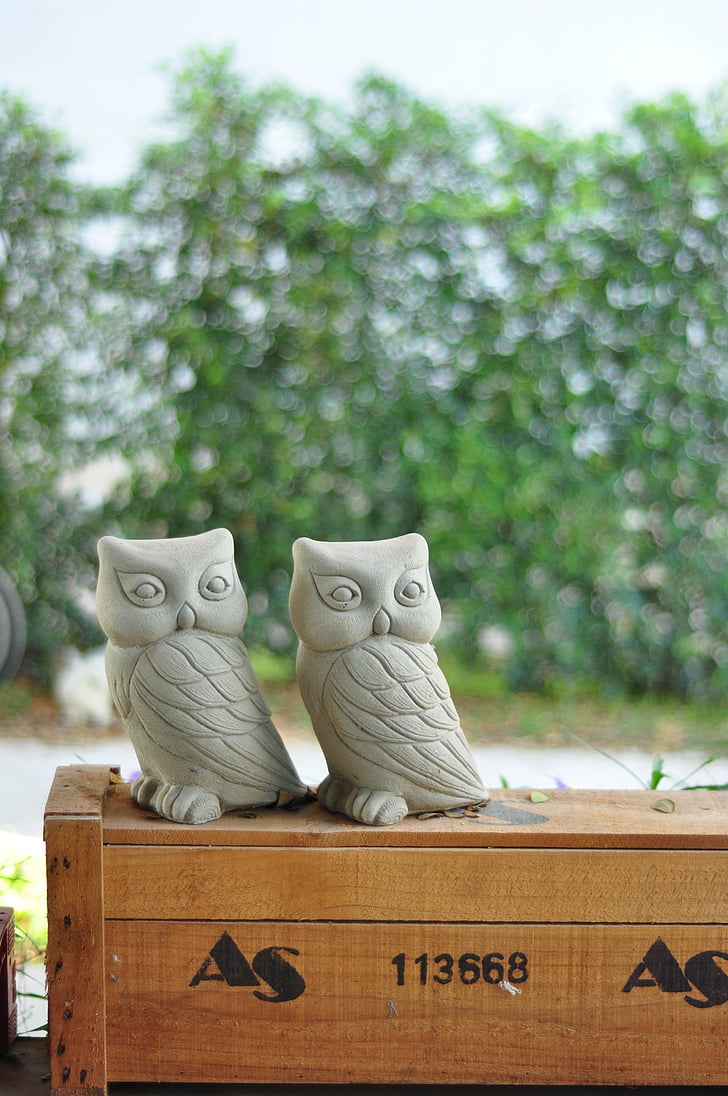 still life, owl, decoration, twin, wood box, couple