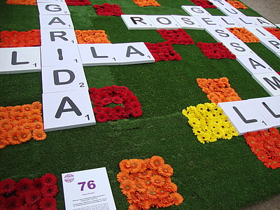 crossword, flower carpet, flower art