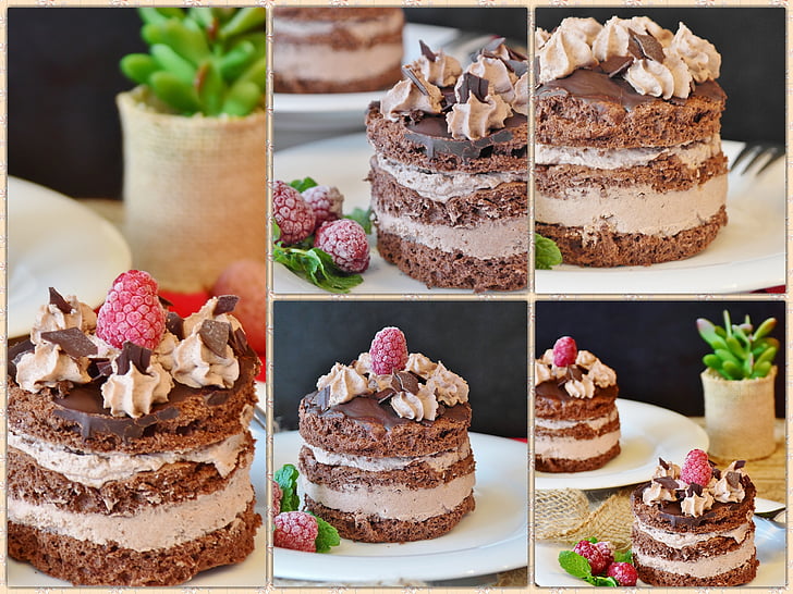 koláč, čokoládové dortíky, tvarohový dort s piniovými, dort, odpolední káva, Cream, šlehačka