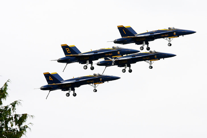 avión, ángulos de azul, avión, Feria del mar, Seattle, avión militar, jet de combate