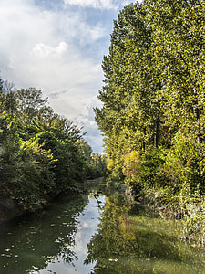 elven, trær, natur, refleksjon, Donau, vann