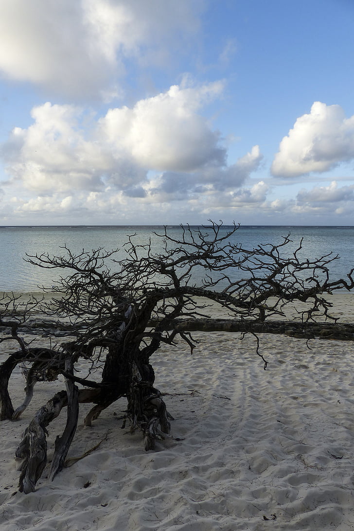 Heron island, Australia, horyzont, chmury, Piaszczysta plaża, Natura, Ocean