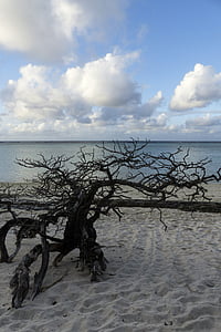 Heron island, Austrálie, Horizont, mraky, písečná pláž, Příroda, oceán