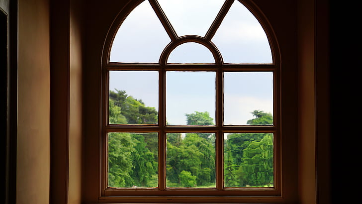 stikls, koki, logs, iekštelpās, skatījās pa logu, arhitektūra, diena