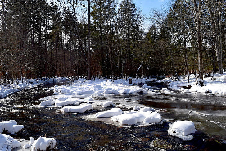 sneg, reka, pozimi, hladno, bela, Frost, sezona