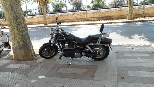 moto, motards, rue, transport