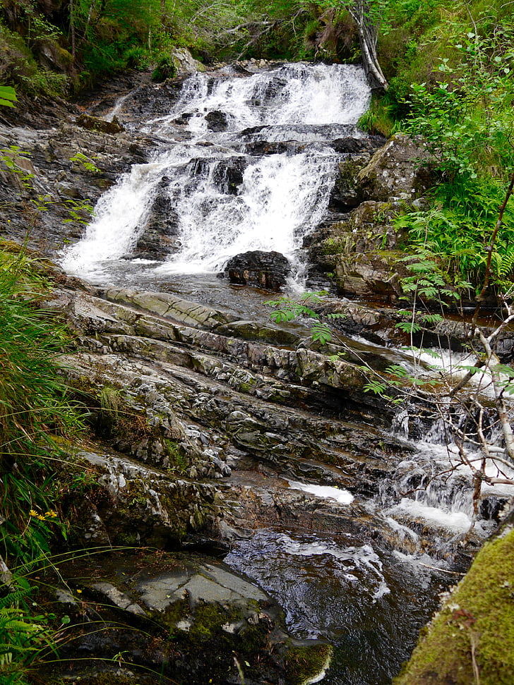 stream, water, forest, greenery, scotland, waterfall, nature