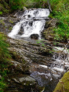 Stream, vatten, skogen, grönska, Skottland, vattenfall, naturen