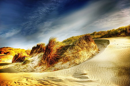 dunas, Dinamarca, Mar do Norte, praia, mar, céu, férias