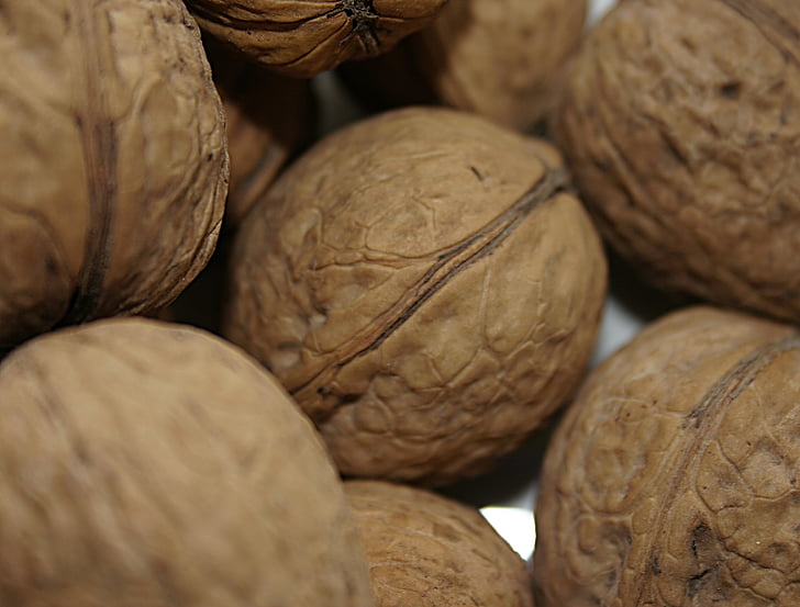 walnut, nuts, fresh, tasty, food, gourmet, healthy