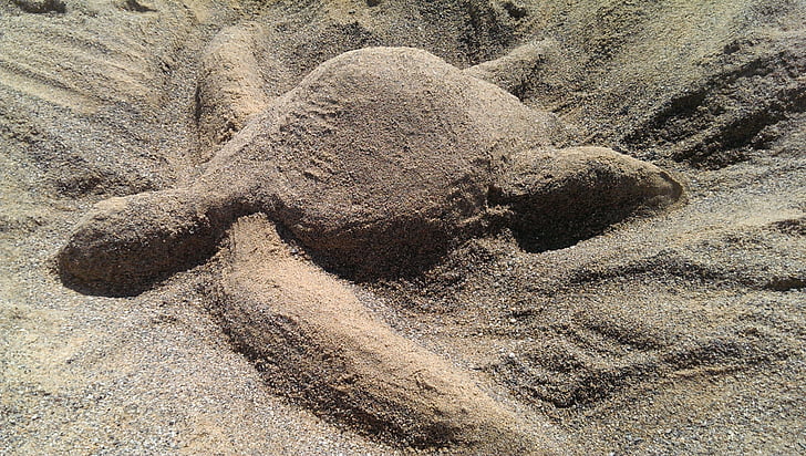 vėžlys, smėlio, smėlio skulptūros, paplūdimys