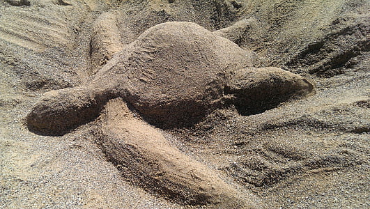 черепаха, песок, песчаные скульптуры, пляж