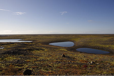冰岛, 景观, skaftafell, 自然