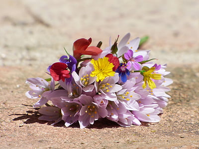 virágok, vadvirágok, női ruhaderék, Csendélet, szépség, tavaszi