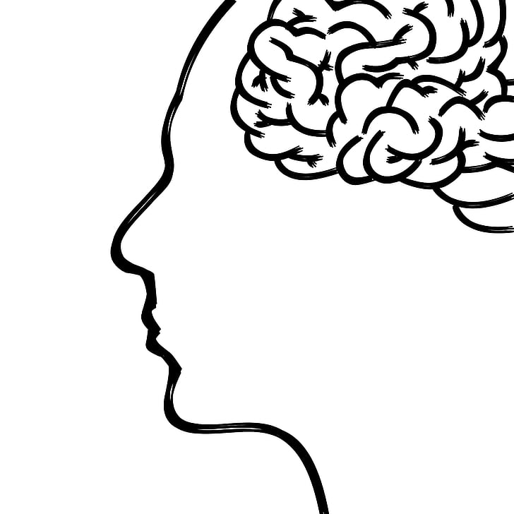 κεφάλι, εγκεφάλου, σκέψεις, ανθρώπινο σώμα, πρόσωπο, Ψυχολογία, συγκέντρωση
