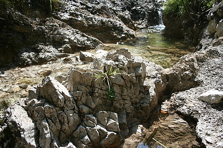 nature, source, eau, vert, rivière, Rock - objet, montagne