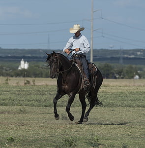 Cowboy, kvartalet häst, tränare, Ranch, västra, mössa, djur