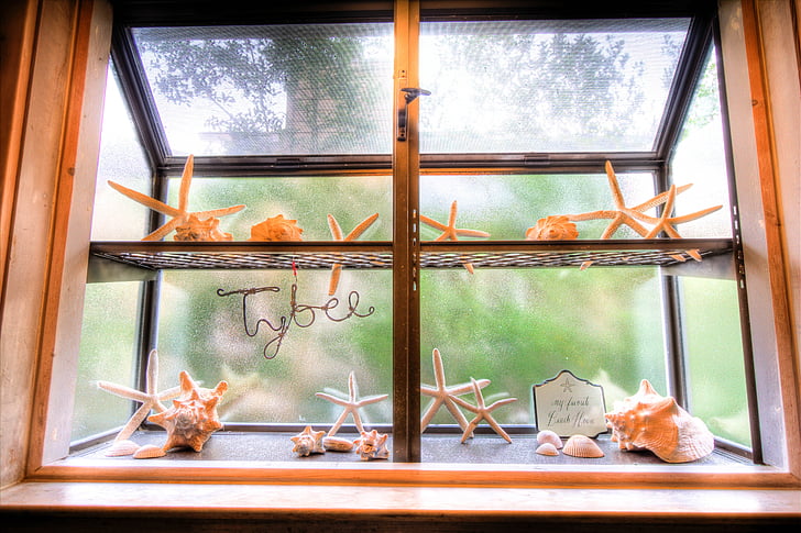 window bench, sill, window sill, window, decoration, corals