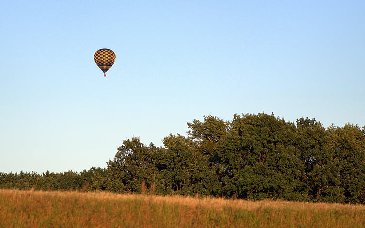 ballong, eng, skog, landskapet, Panorama, treet, gresset