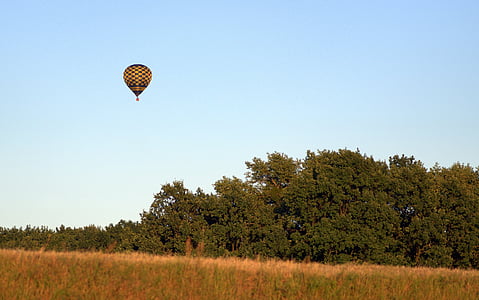 Balon, çayır, Orman, manzara, Panorama, ağaç, çimen