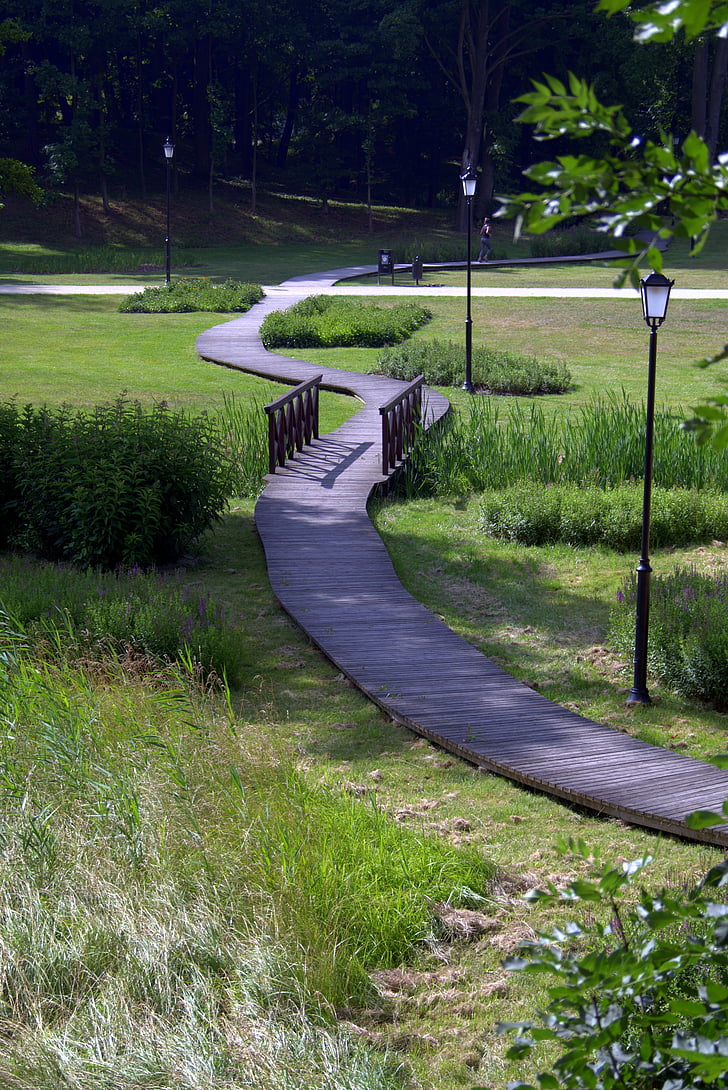 stien, måde, Park, vådområder, Syców, Polen, Bridge