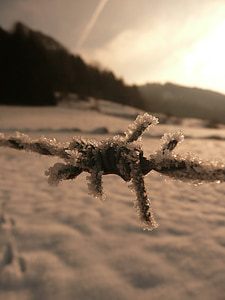 winter, sun, snow, nature, frost, sky, hoarfrost
