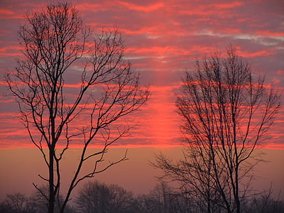 Morgenrot, chmury, jasny czerwony, drzewa, sylwetka