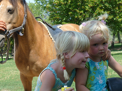 brothers and sisters, horse, children, friends, blond, braids, dimple