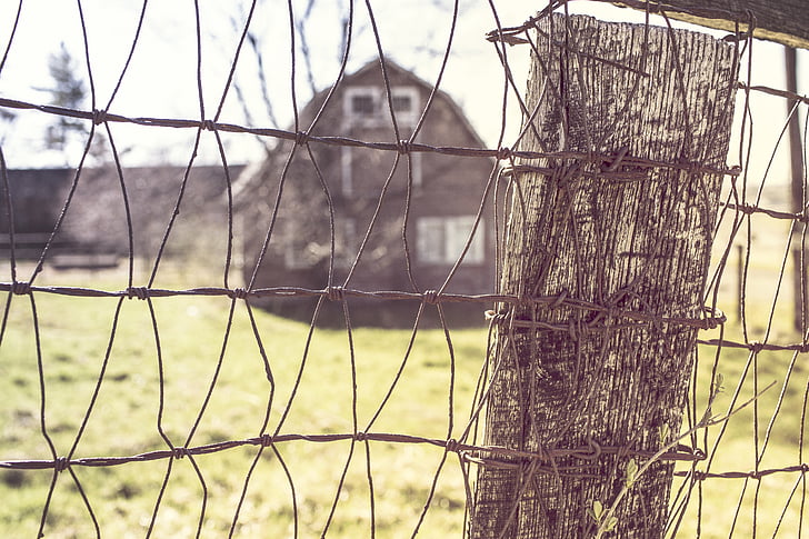 tilt, lens, photography, wire, fence, wood, post