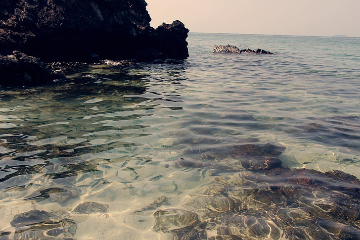 sea water, fish, the scenery, sea, nature, beach, coastline