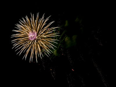 celebration, dark, evening, explosion, festival, fireworks, lights