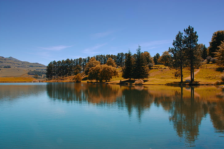 castleburn, Lago, montañas de Drakensberg, pino, árbol, agua, azul