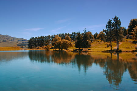 castleburn, Llac, muntanyes Drakensberg, Pi, arbre, l'aigua, blau