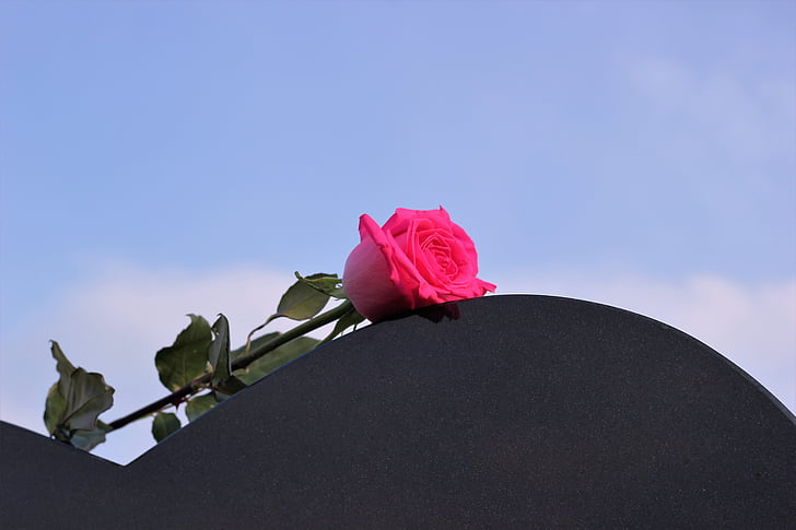roze roos, grafsteen hart, liefde, Ik mis je