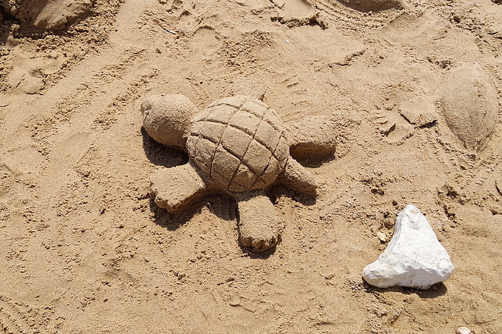 pesek, želva, počitnice, igra, umetnost, živali, obala