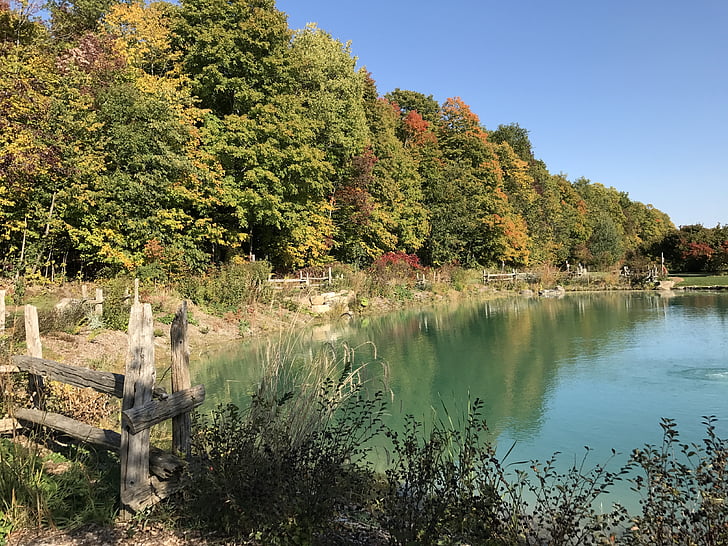 rybník, podzim, na podzim, krajina, parku, září, Příroda