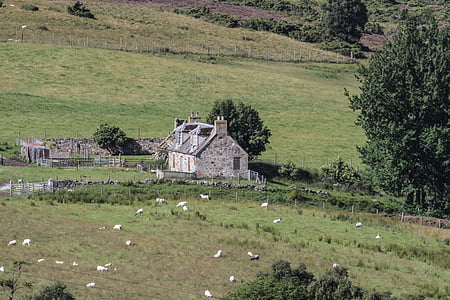 skotske høylandet, Skottland, hjem, bygge, landskapet, natur, høylandet