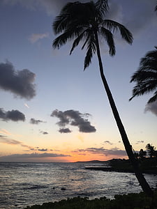 Playa, nubes, Costa, Hawaii, Océano, árboles de Palma, mar
