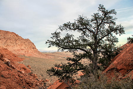 Юта, червоні скелі, червоний, Національний, парк, США, пустеля