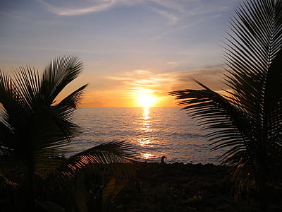 pôr do sol, Caribe, palmeiras