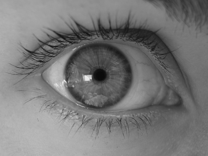 eye, pupil, eyelash