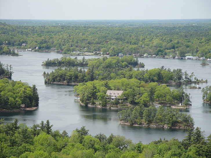 thousand island, island, river, nature, america, forest, scenery
