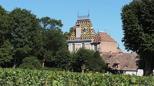 Vineyard, viinapuu, viinapuude, viinamarjad, Burgundia, Castle, Domeen