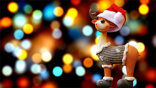 ムース, クリスマス, クリスマス モチーフ, トナカイ, 冬, 装飾, 出現