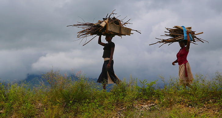 mulheres, madeira, mulher, Uganda, natureza