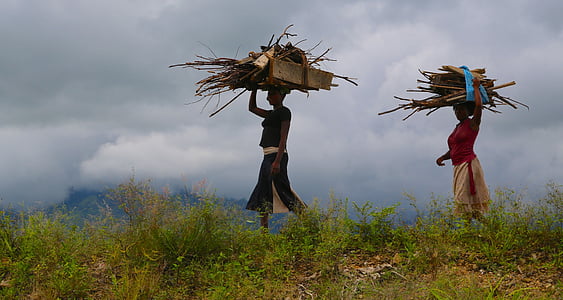 女性, 木材, 女性, ウガンダ, 自然