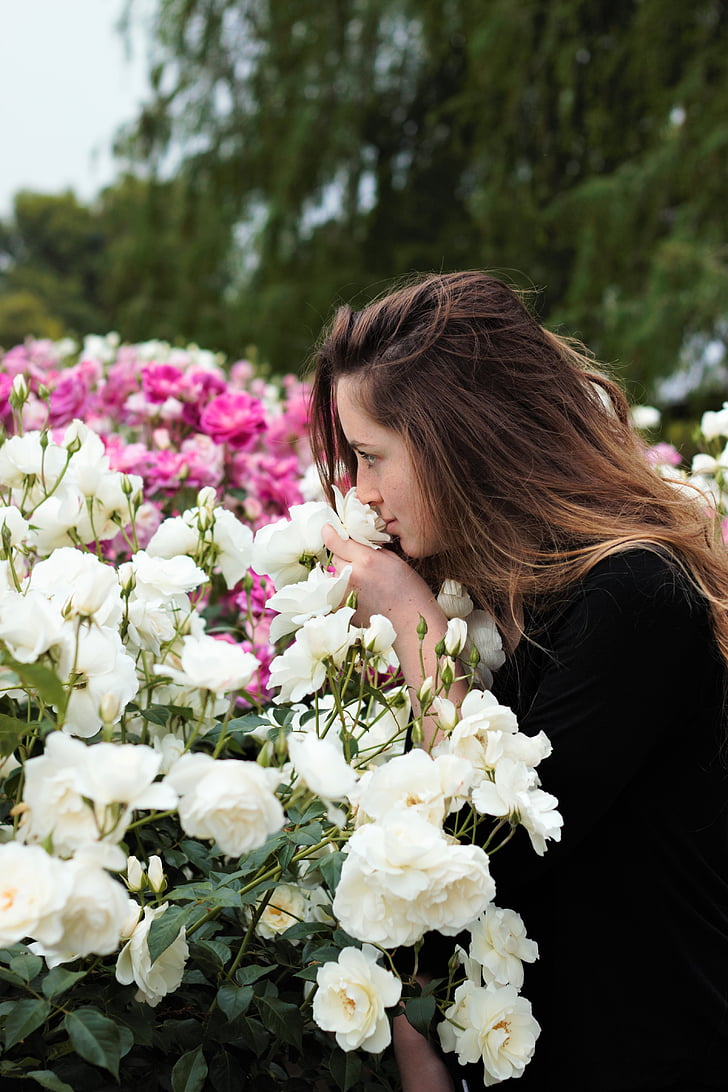 sniffing ziedi, sniffing rozes, jaunais, sieviete, meitene, sievietes, seja