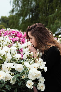 oler flores, oler a rosas, jóvenes, mujer, chica, mujer, cara