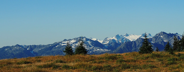 Olympic national park, Washington, bergen, landskap, vildmarken, vacker natur, naturliga