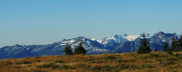 Olympic national park, Washington, mäed, maastik, kõrbes, maastik, looduslik